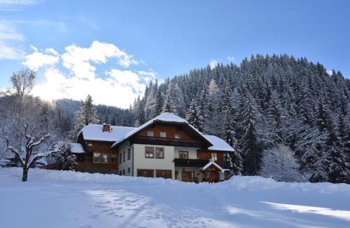 Sankt Georgen am Kreischberg Apartment | Apartment Krobath