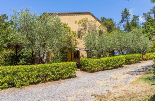 Riparbella Apartment | Apartment Lepre-17 by Interhome