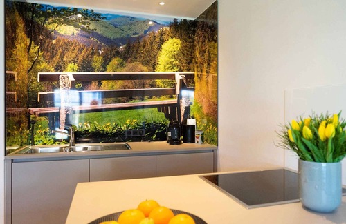 Schmallenberg Apartment | Apartment mit 38qm, 1 Schlafzimmer, 1 Wohn-schlafzimmer, Max. 4 Personen