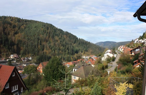 Triberg im Schwarzwald Apartment | Apartment 'Mit Ca 60qm' with Private Terrace