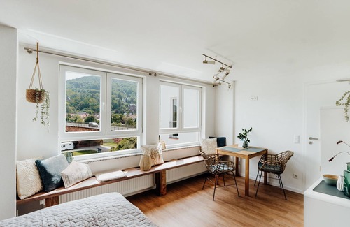 Miltenberg Apartment | Apartment mit Gemeinschaftlicher Terrasse