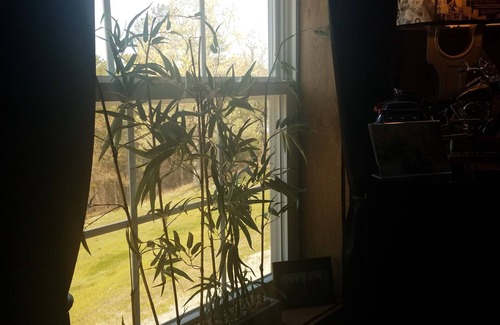 Eureka Springs Apartment | Apartment, Mountain View/Personal Deck Bikers welcome. Mins to DT Eureka Spgs.