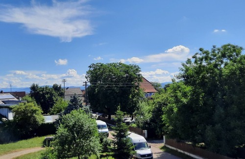 Meissenheim Apartment | Apartment near Europapark, Straßburg, Vosges and Black Forest