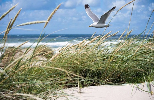 Knokke Apartment | Apartment near Seawall with Parking