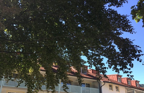 Hohenaschau im Chiemgau Apartment | Apartment No. 338, living/sleeping area, without a balcony on the top floor