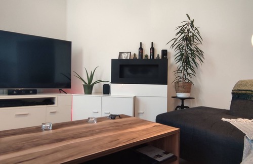 Historisch centrum Apartment | Apartment offline