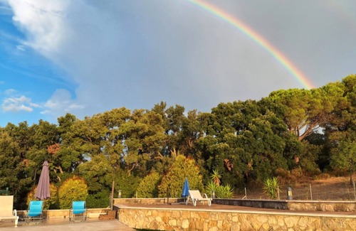 Riparbella Apartment | Apartment 'Piccolo Paradiso - Olivo' with Shared Pool, Wi-Fi and Air Conditioning