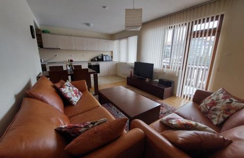 Shiligarnika Apartment | Apartment Pirin