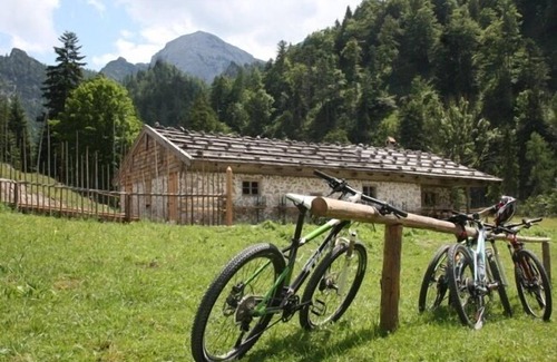 Ruhpolding Apartment | Apartment Platzhirsch 50sqm, 1 bedroom, living room, balcony, WLAN, 2 p.