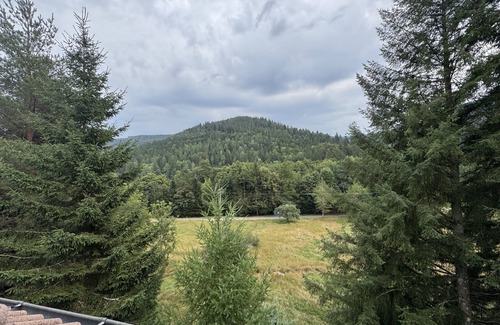 Bad Wildbad Apartment | Apartment-Private Bathroom-Countryside view