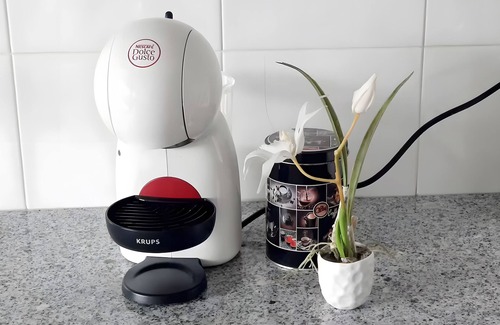 Quinta do Anjo Apartment | Apartment Quinta do Anjo