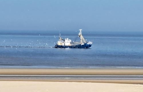 Raversijde Apartment | Apartment Raversijde with Seaview