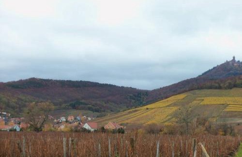 Orschwiller Apartment | Apartment Route du Vin Centre Alsace