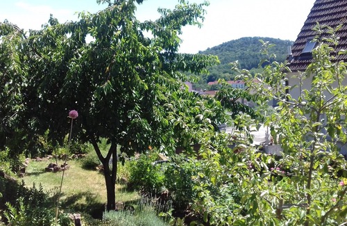 Dahn Apartment | Apartment 'Ruth' with Private Terrace and Wi-Fi