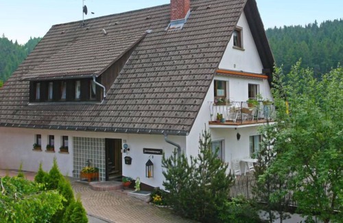 Eisenbach Apartment | Apartment Scherzinger in Eisenbach - 4 persons, 2 bedrooms
