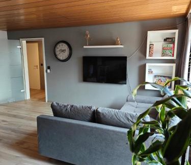 Roetenbach Apartment | Apartment Schwarzwaldbub