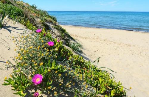 Eden Beach Apartment | Apartment Sentimentos by Interhome