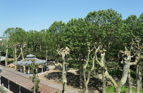 Thermal Apartment | Apartment - Spa & Vacation