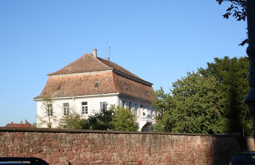 Edesheim Apartment | Apartment Spatzennest in Edesheim - Apartment Spatzennest