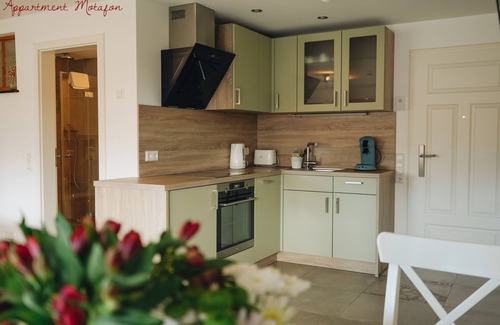 Bad Krozingen Apartment | Apartment-Standard-Private Bathroom-Balcony