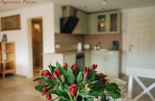 Bad Krozingen Apartment | Apartment-Standard-Private Bathroom-Balcony
