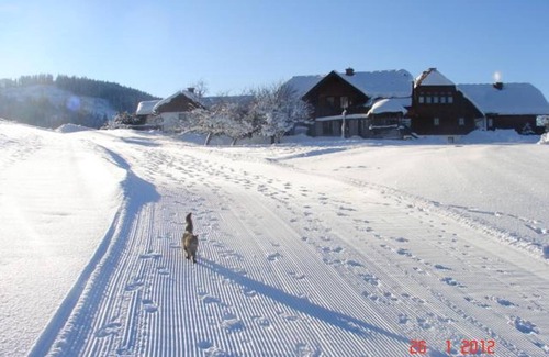 Gossenberg Apartment | Apartment Stoderzinken - 4 bedrooms, 2 bathrooms, WC - Hirzhof