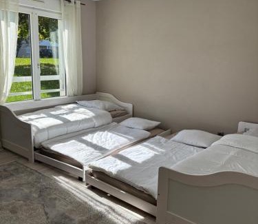 Lingolsheim Apartment | Apartment Strasbourg 7 Guests, 10 min City Center