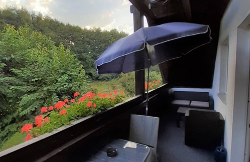 Walkenried Apartment | Apartment-Superior-Private Bathroom-Garden view-Typ D Balkon