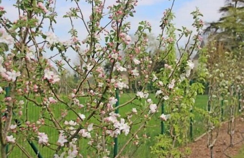 Plumergat Apartment | Apartment-Superior-Ensuite with Shower-Garden view-Au Rez-de-chaussee