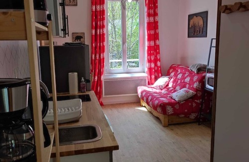 Mont-Dore Apartment | Apartment T2 22m² Les Brumes, 1km from downtown Mont dore