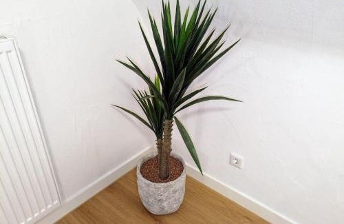 Gronau Apartment | Apartment 'Tannen' Grenze Enschede