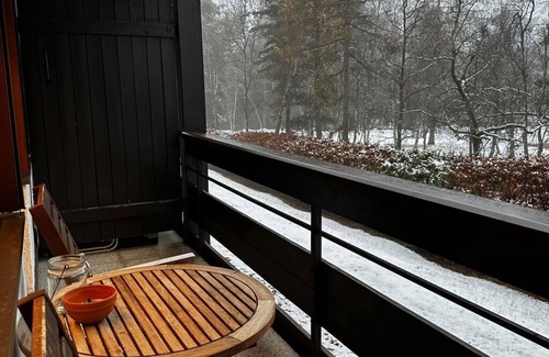 Seefeld in Tirol Apartment | Apartment TYPE I - C05 - Apartment house Birkenwald