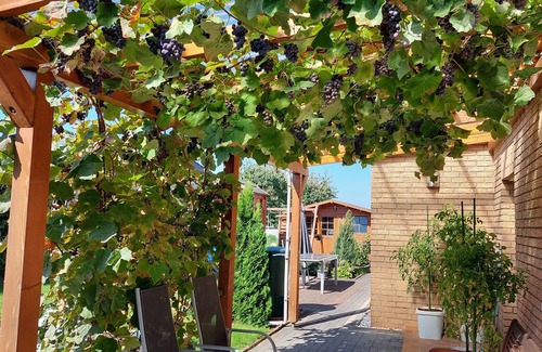 Waldbrol Apartment | Apartment Waldbröl - near nature adventure park - long term