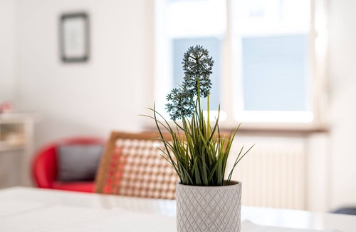 Kirchzarten Apartment | Apartment with 1 bedroom and 1 living and dining room