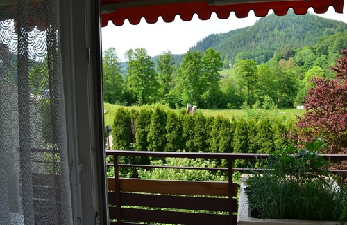 Bad Wildbad Apartment | Apartment with 32sqm, 1 living/bedroom, max. 2 persons