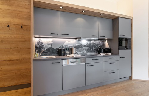 Haus im Ennstal Apartment | Apartment with private sauna and a large terrace