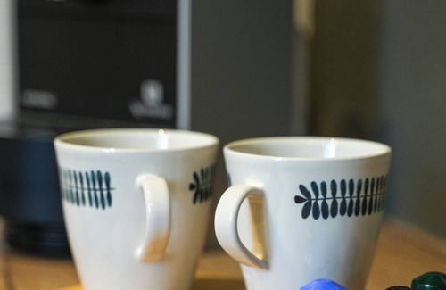 Bergheim Apartment | Apartment with beautiful view of the vineyards and the 3 castles of Ribeauvillé