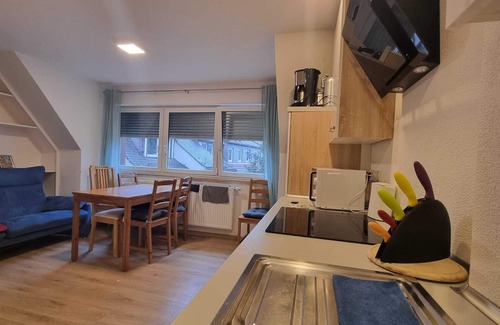 Wurzburg City Centre House | Apartment with fortress view