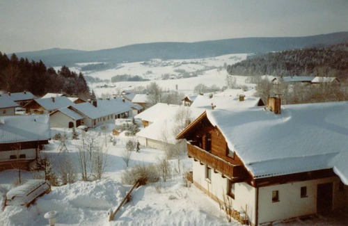 Ginselsried Apartment | Apartment with picturesque mountain view in the Bavarian Forest - Whg. 24, 2nd floor, 2 room,