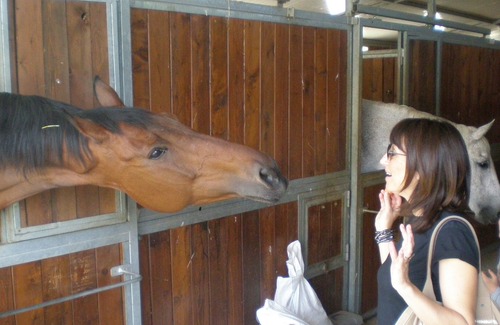 Montoro Apartment | APARTMENT WITH POOL AND HANDLING IN AGRITURISMO