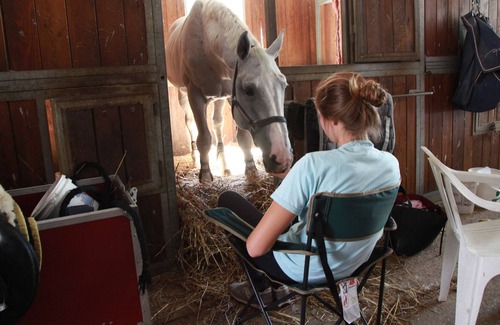 Montoro Other | APARTMENT WITH POOL AND HANDLING IN AGRITURISMO