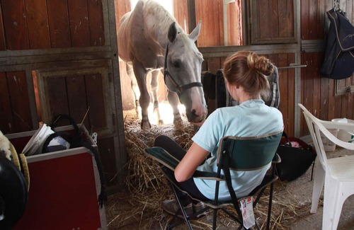 Montoro Other | APARTMENT WITH POOL AND HANDLING IN AGRITURISMO