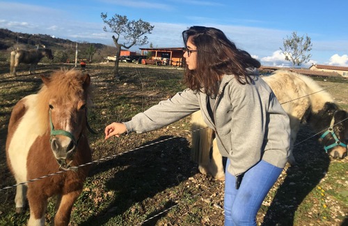 Montoro Other | APARTMENT WITH POOL AND HANDLING IN AGRITURISMO