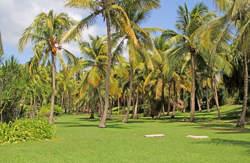 Anse des Rochers Apartment | Apartment with swimming pool and private beach, with a separate bedroom