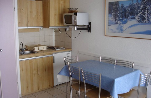 Pla d'Adet Apartment | Apartments 2-4-6 pers. Fronts and Feet Garages Balconies Pla d'Adet 65170