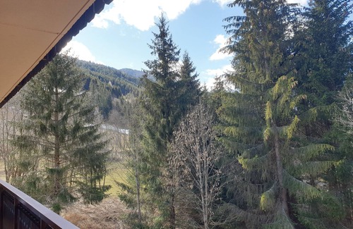 Abondance Apartment | Apartments for up to 4 people