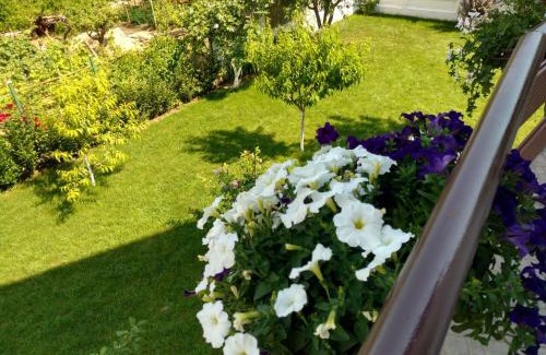 Primorski Apartment | Apartments in Golden Sands park near the sea