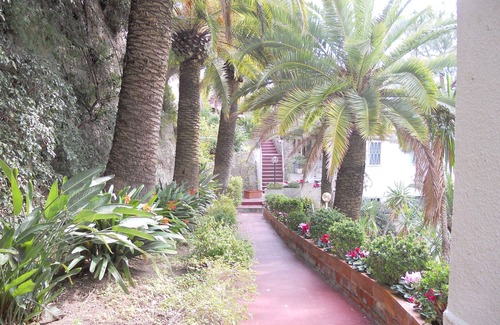 Ospedaletti Apartment | Apartments "solaria 1 & 2 Ospedaletti Ligure by Sanremo Italian Riviera