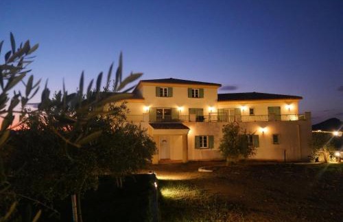 Oletta Apartment | APICULTEUR