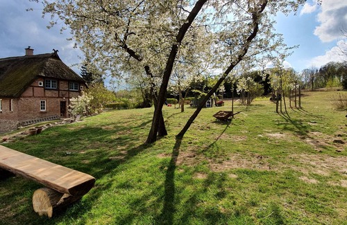 Pantow Apartment | App Kliemkiker, 2-4 pers., in dreamlike secluded location, barbecue, near Binz